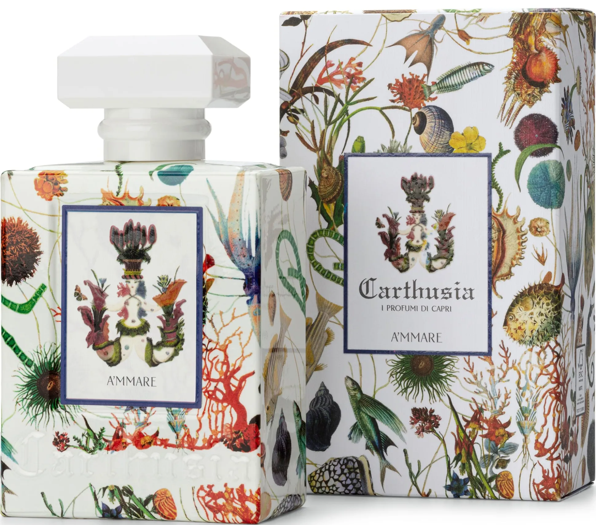 A’mmare Eau de Parfum