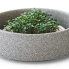 Anzuchtschale für Microgreens