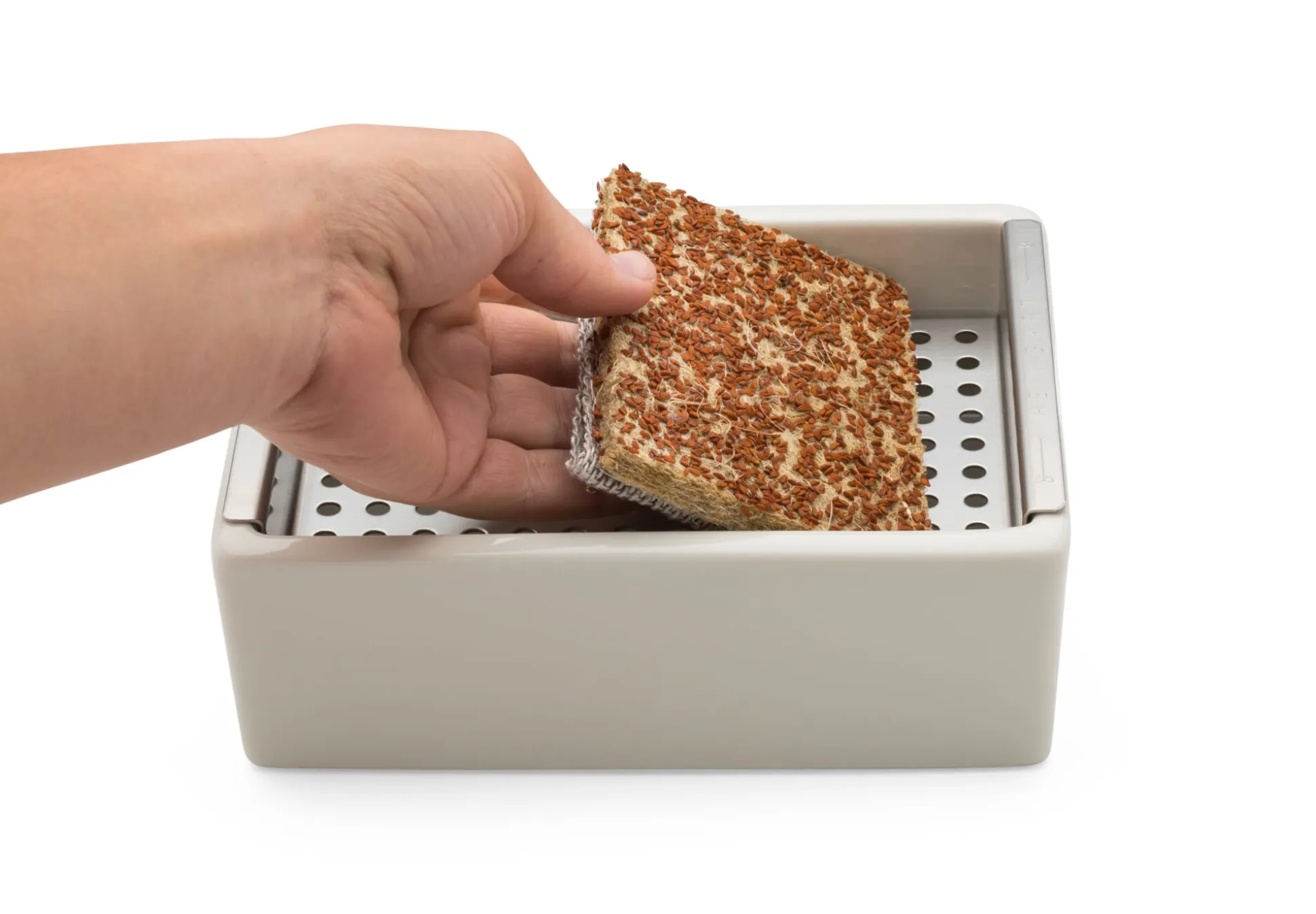 Anzuchtset Microgreens