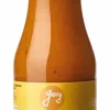 Bio-Kürbis-Ketchup