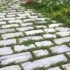 Blumensamenmischung für Pflasterfugen