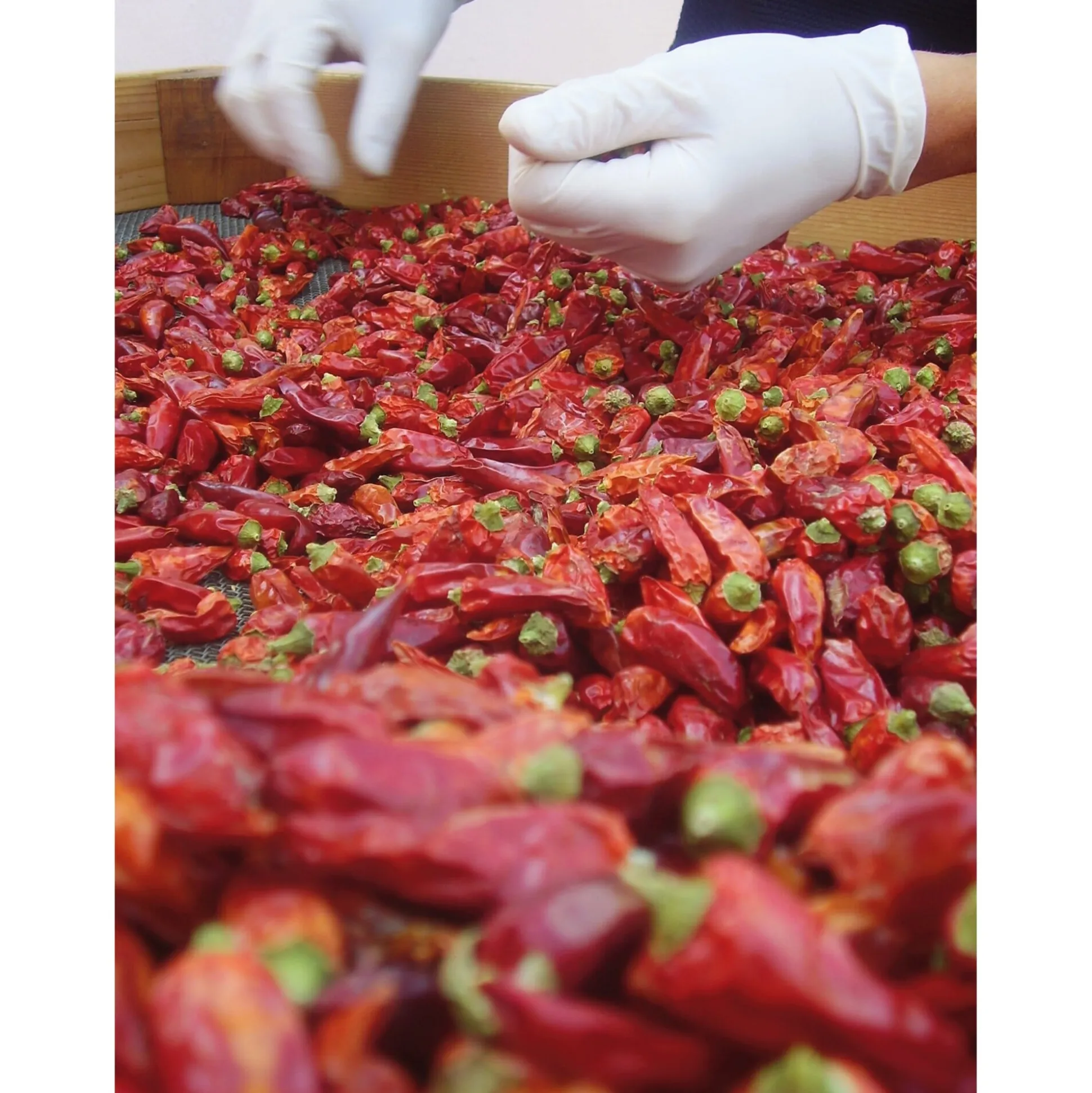 Chillies