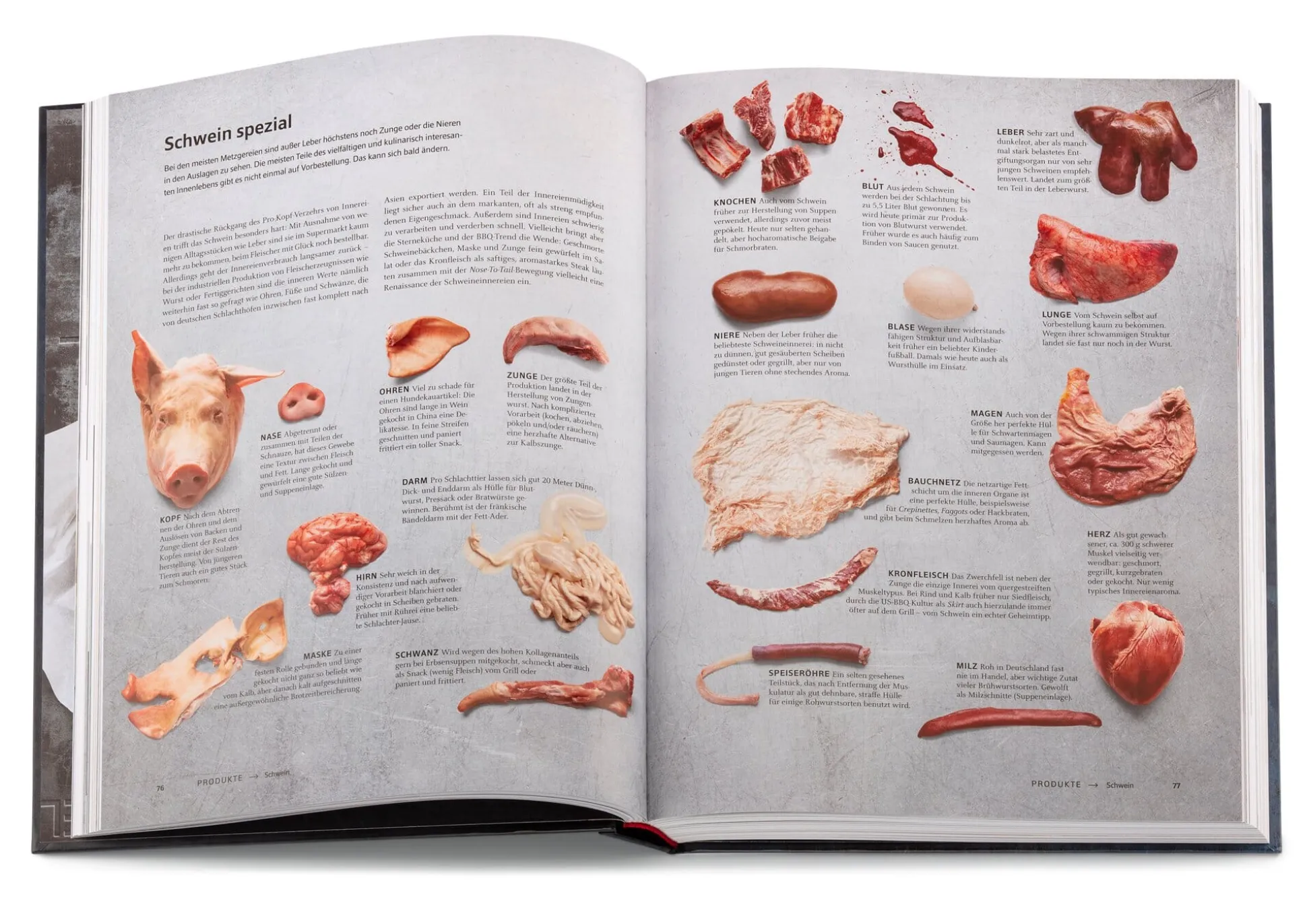 Das große Buch vom Fleisch