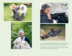 Der Wolf und wir