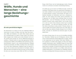 Der Wolf und wir