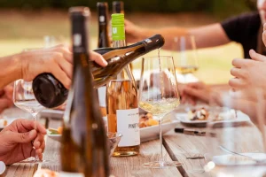 Dittelsheim Chardonnay