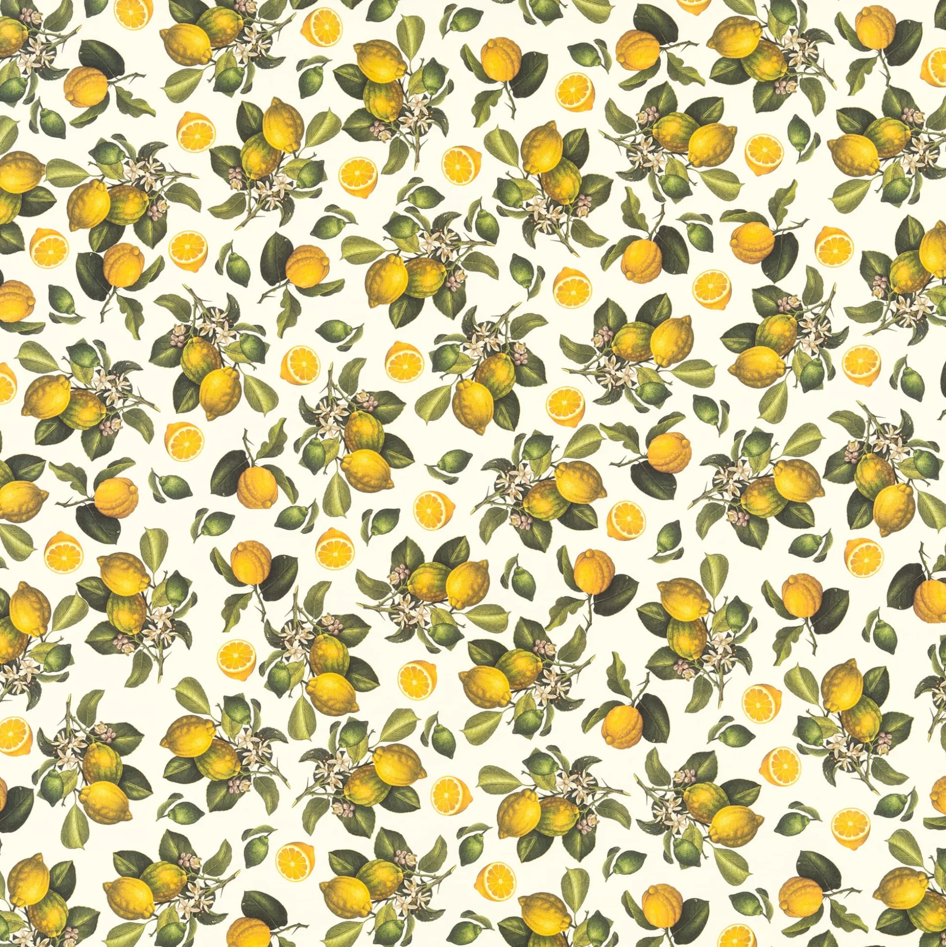 Florentiner Papier Pimpernellen