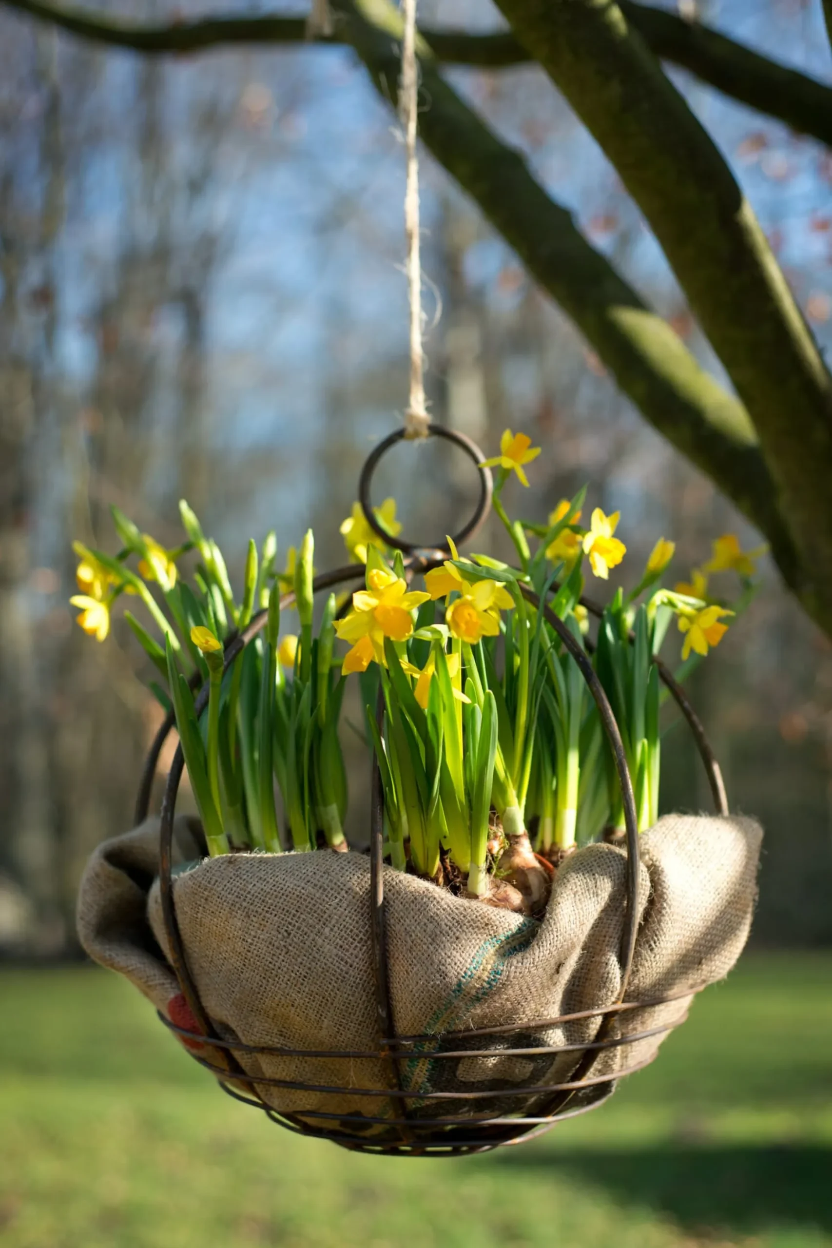 Gartenkugel zum Hängen