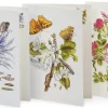 Grußkarten Blumenmotive Maria Sibylla Merian