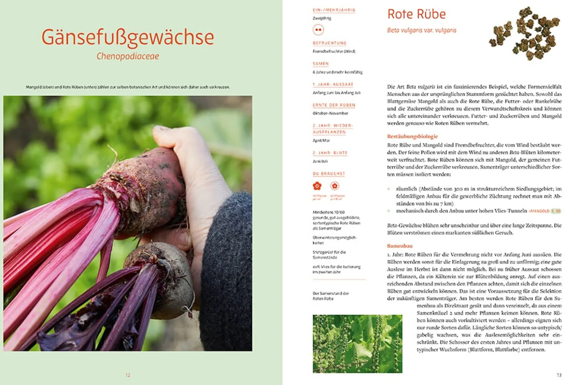Handbuch Samengärtnerei