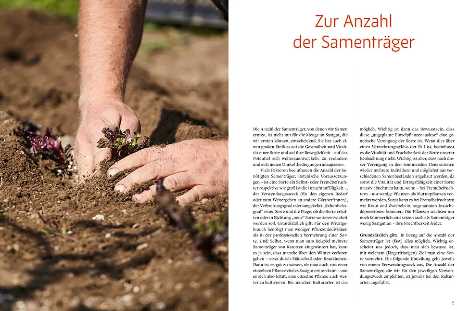 Handbuch Samengärtnerei