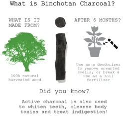 Holzkohle Binchotan