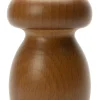 Italienische Gewürzmühle Fungus