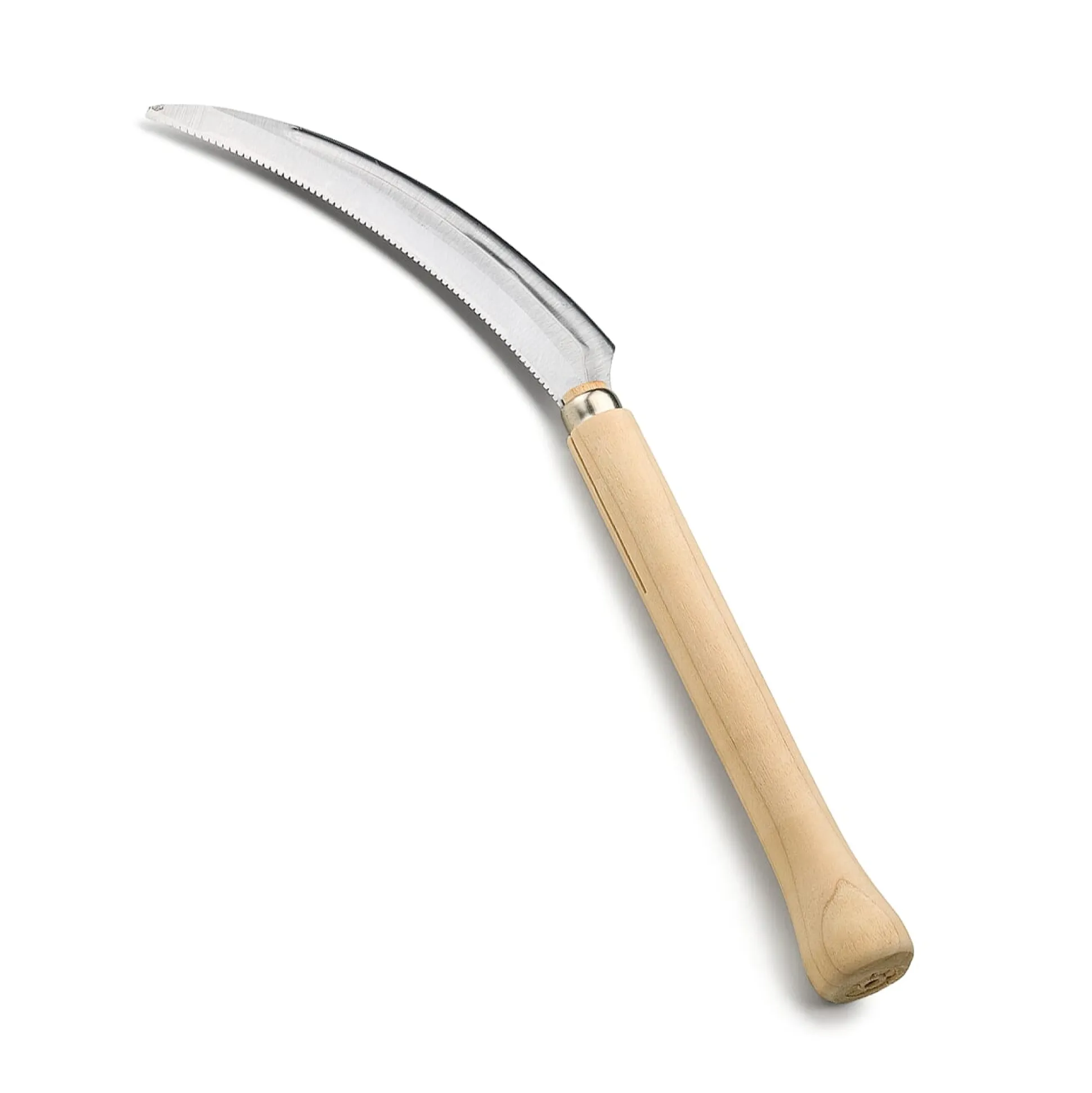 Japanische Staudensichel