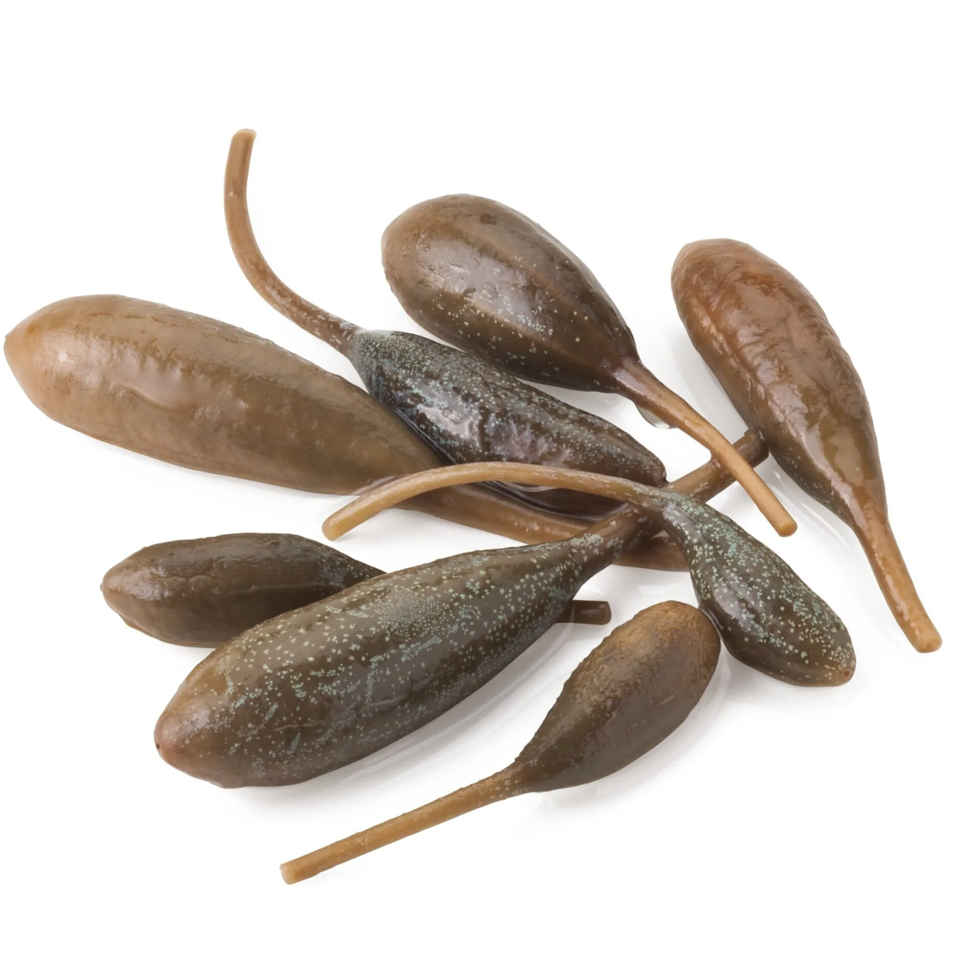 Kapernäpfel von Salina