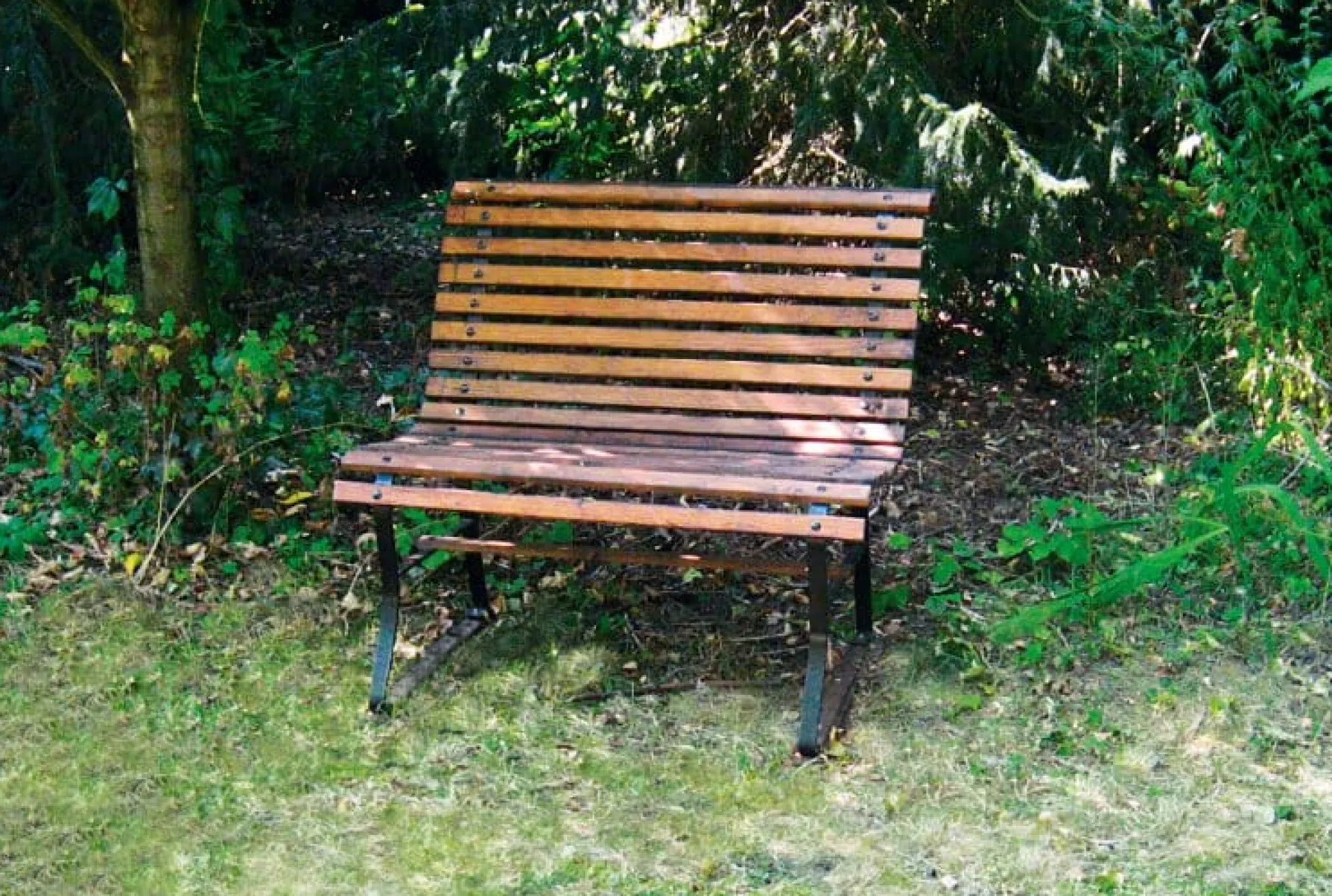 Kleine Gartenbank