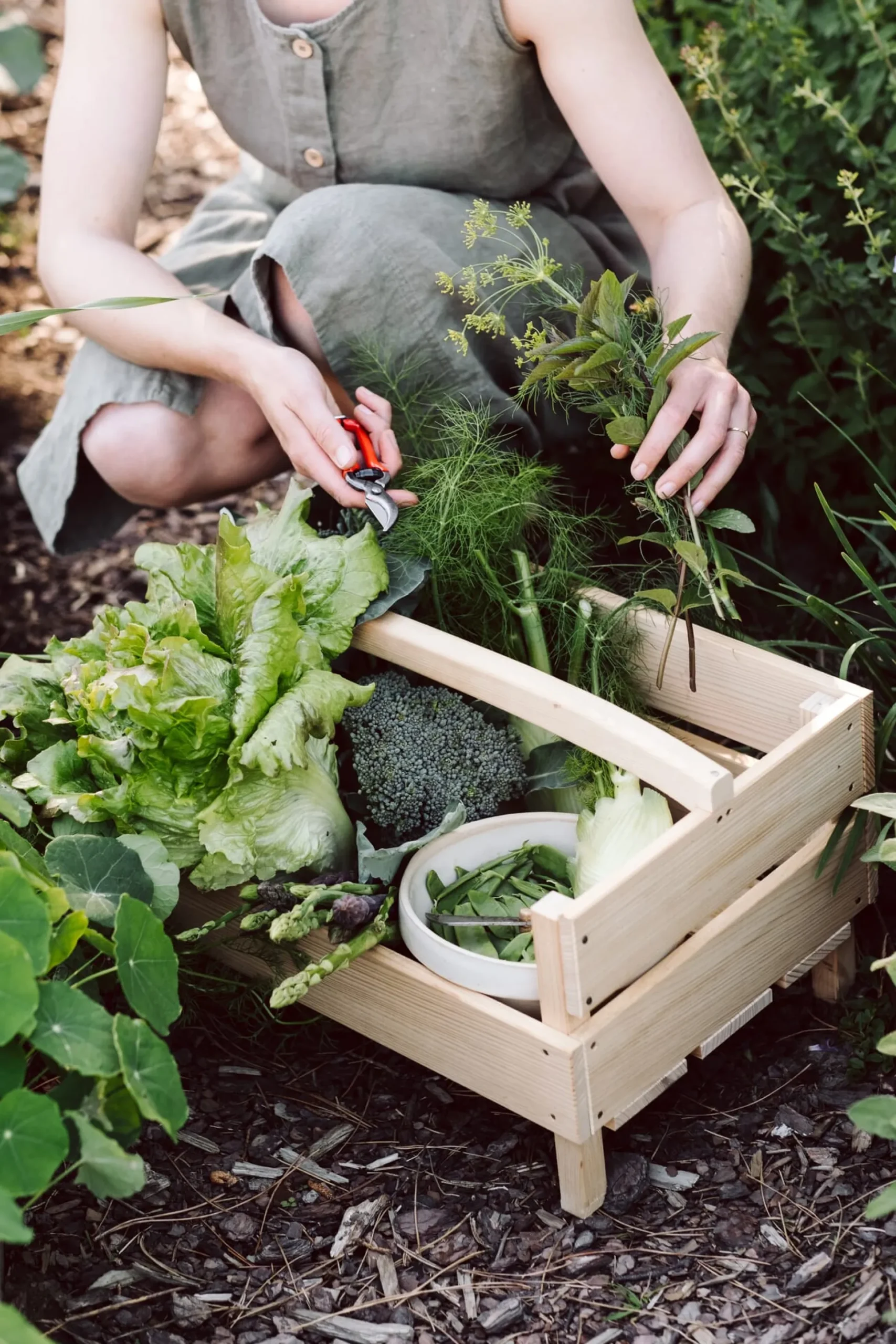 Kleine Gartenschere