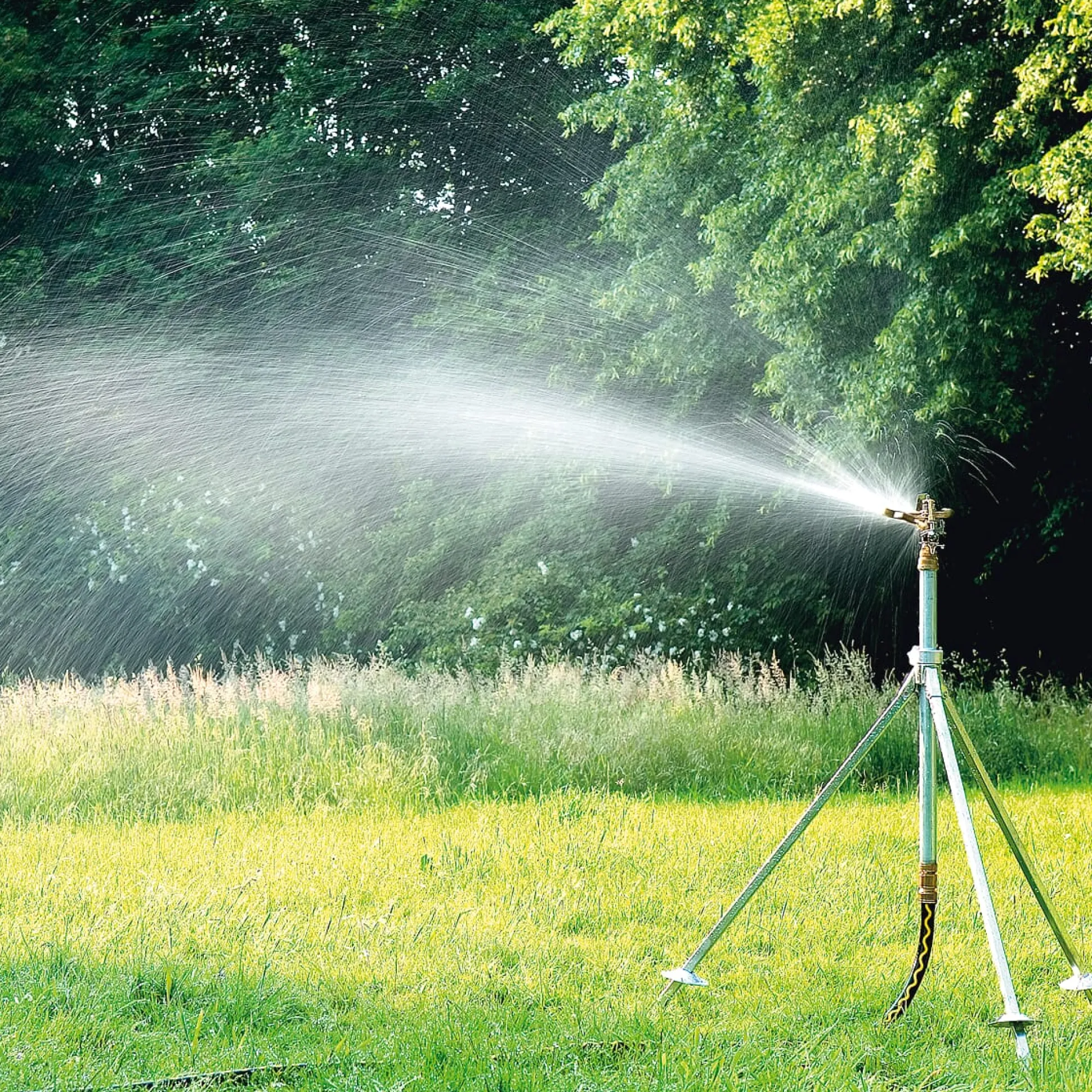 Kreisregner Messing