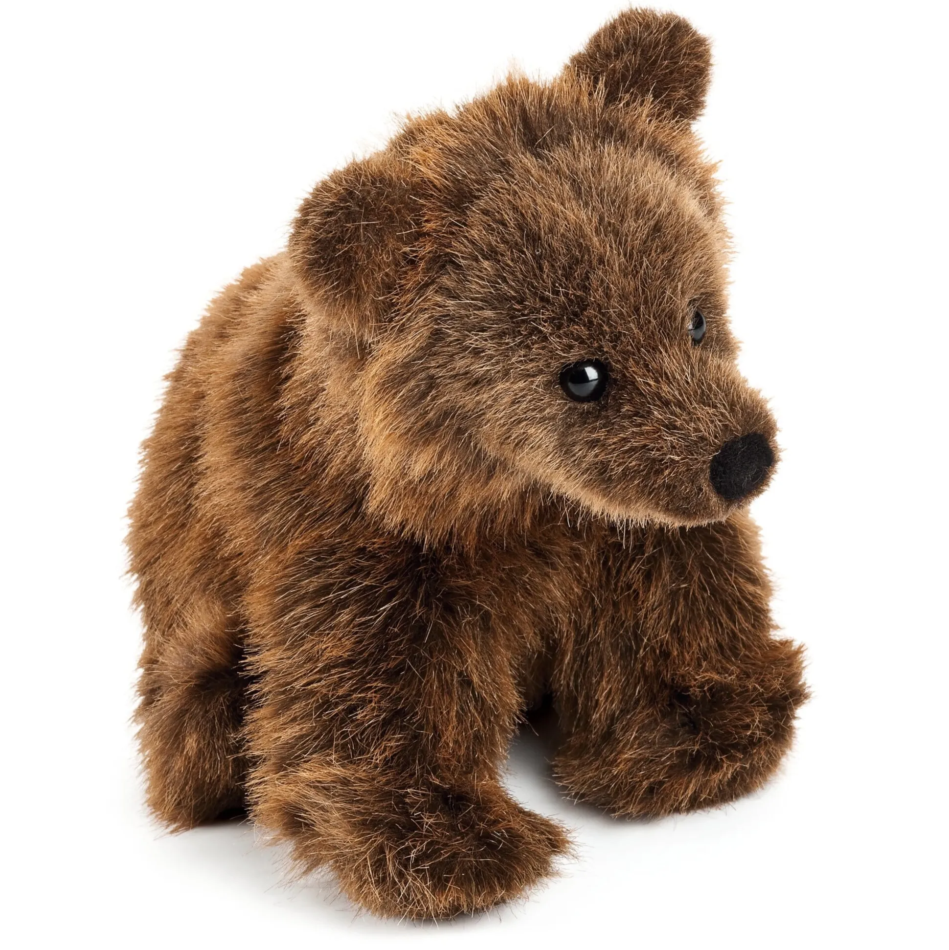 Kösener Braunbär