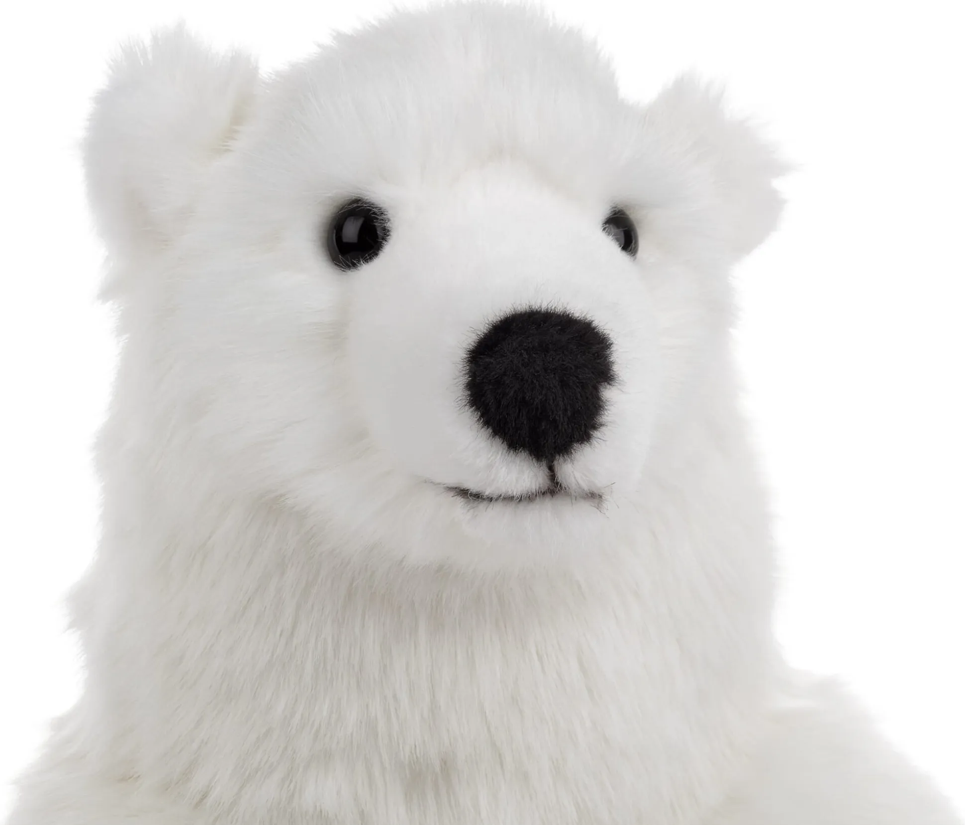 Kösener Eisbär