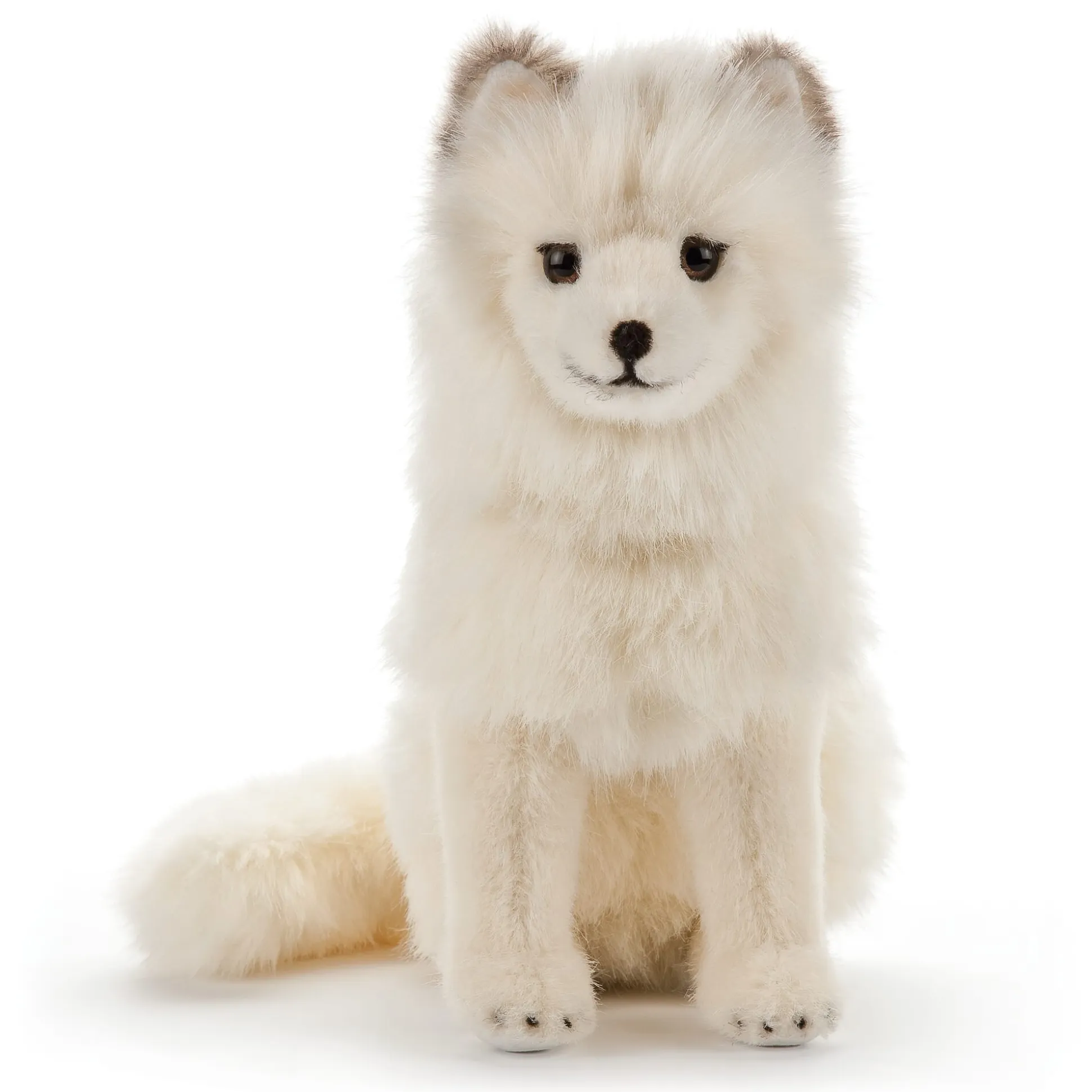 Kösener Polarfuchs