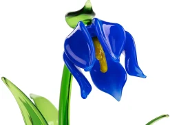 Lauschaer Glockenblume