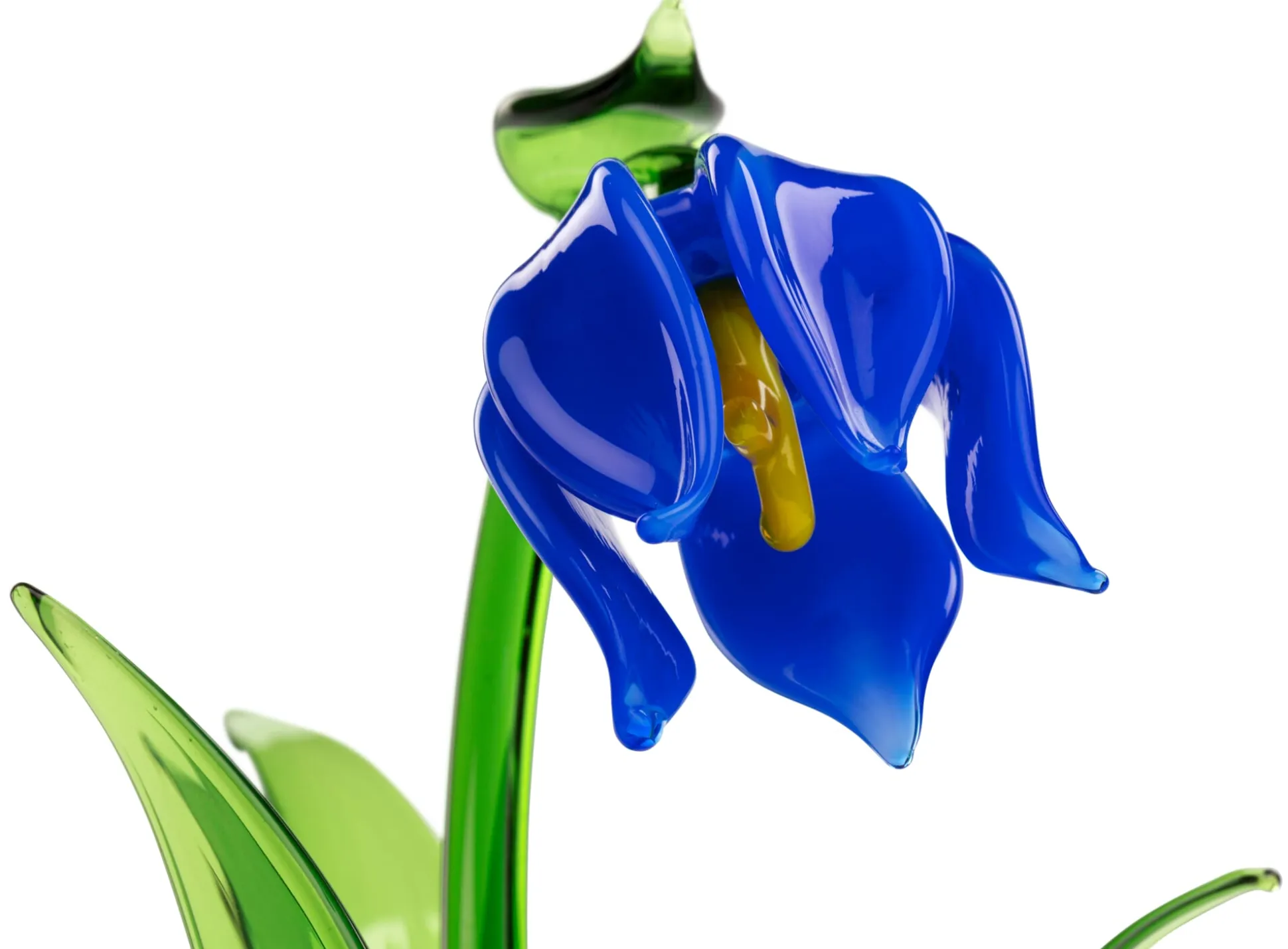 Lauschaer Glockenblume