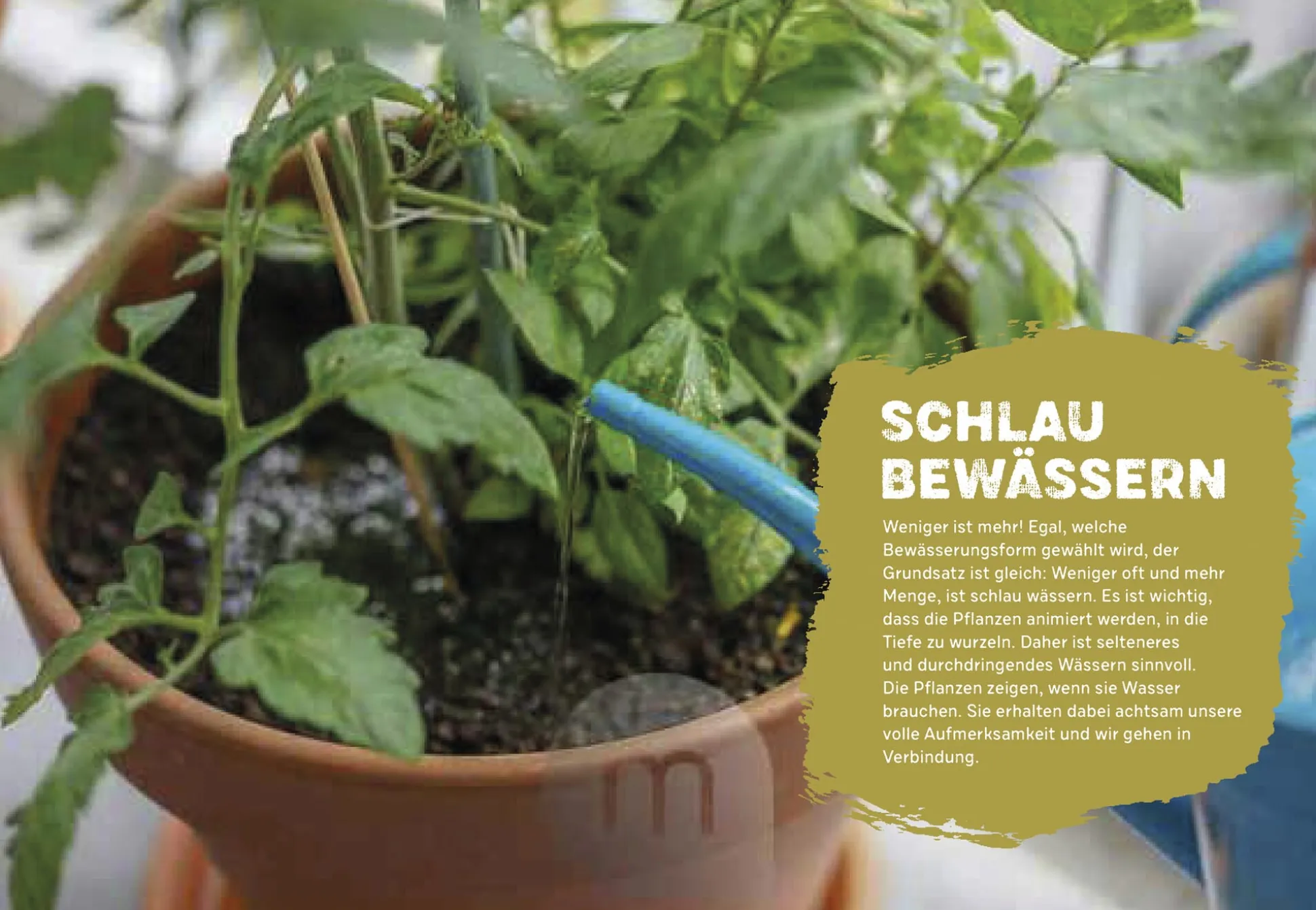 Mein genialer Bio-Balkon