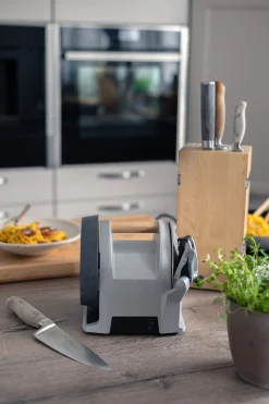 Messerschleifmaschine Tormek T-1