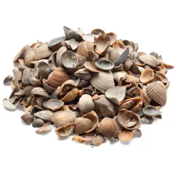 Muschelmulch