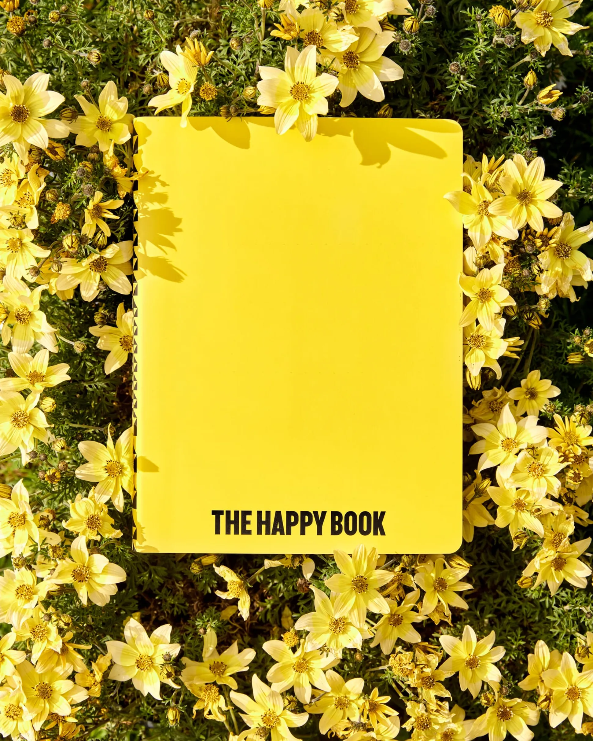 Notizbuch The Happy Book