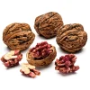 Obstgehölz Walnuss 'Rote Donaunuss'