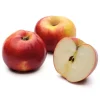 Obstgehölz Winterapfel 'Winterrambur'