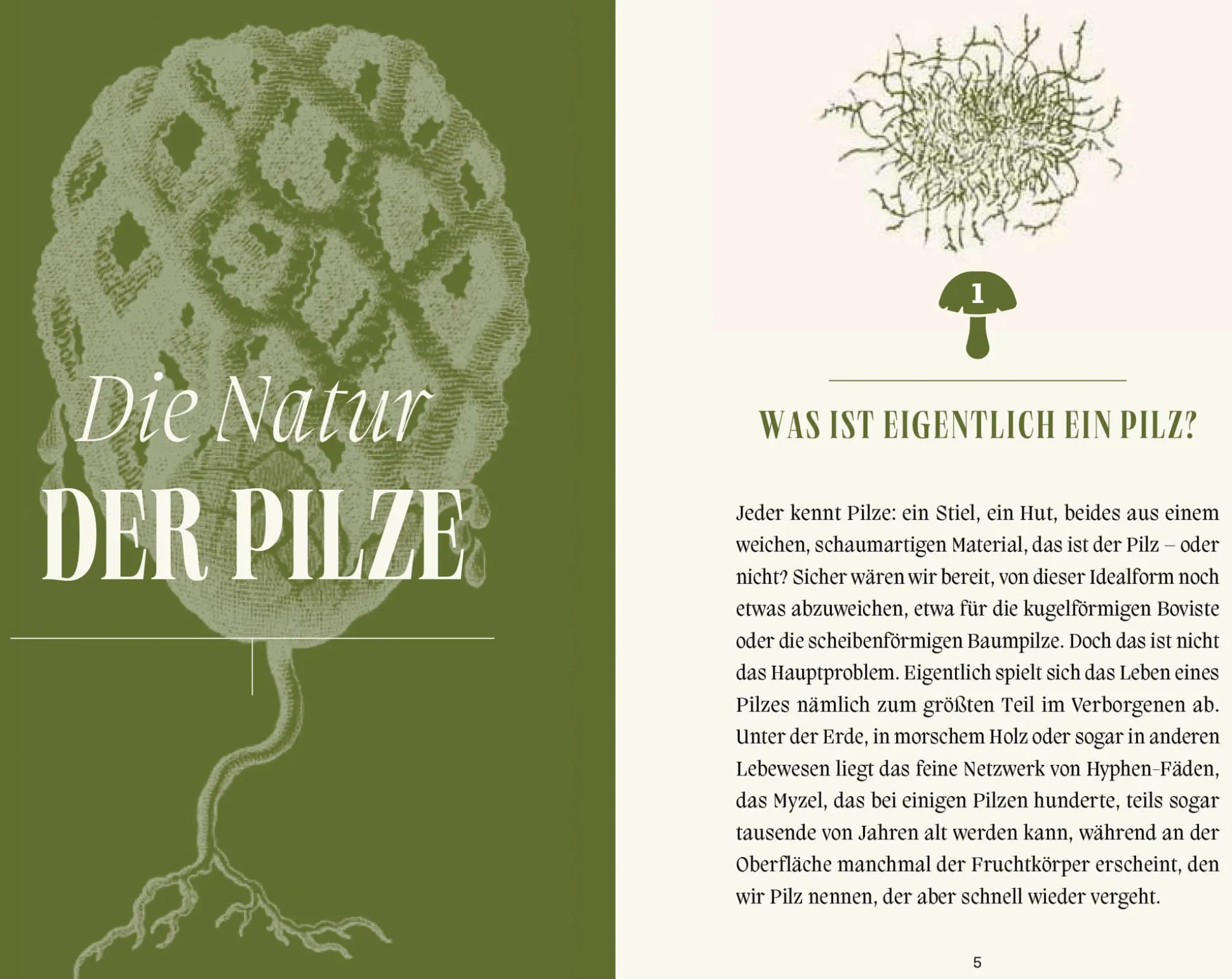 Pilze