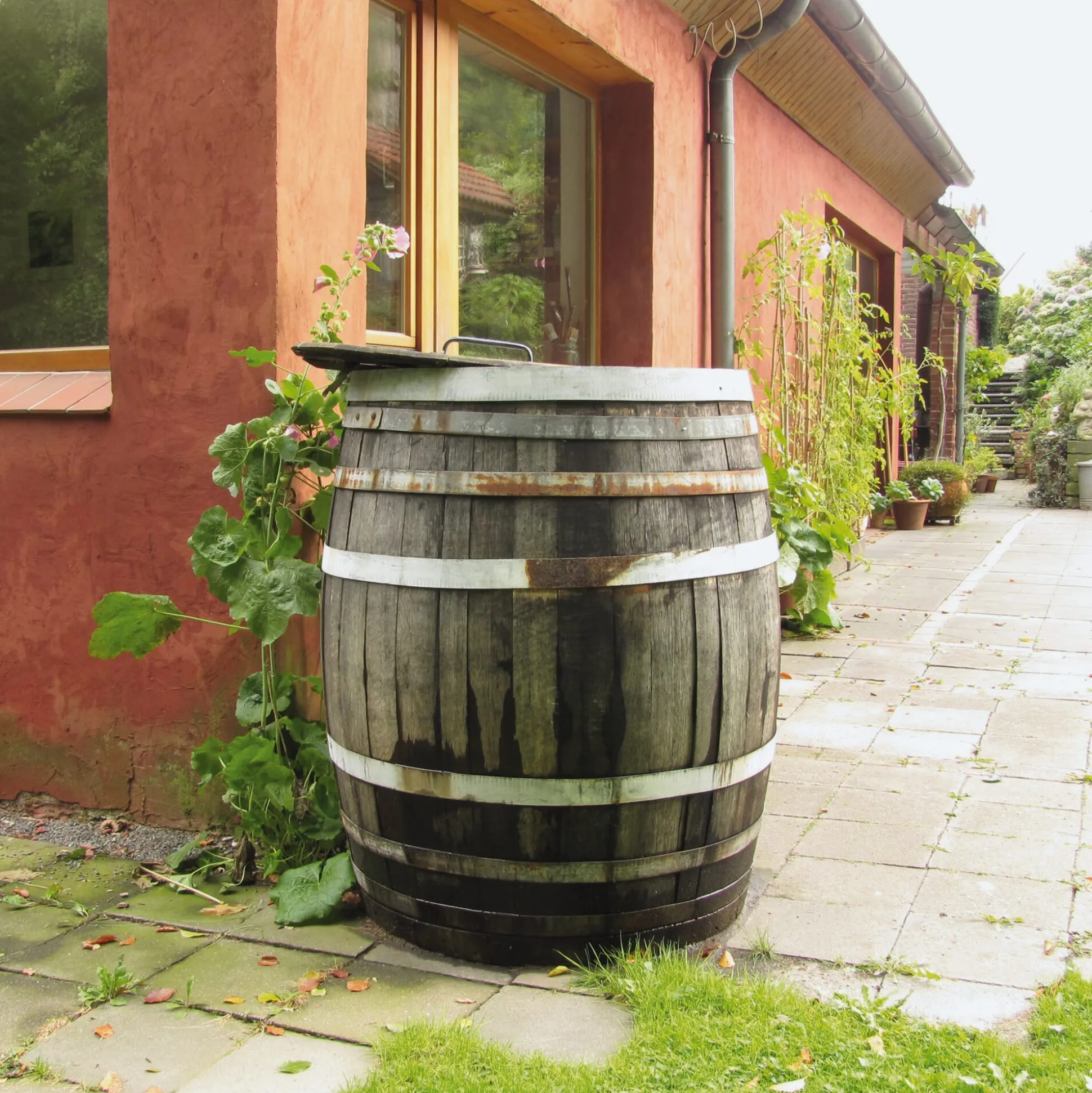 Regenfass Eichenholz