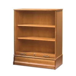 Rolladenschrank halbhoch mit 2 Fachböden