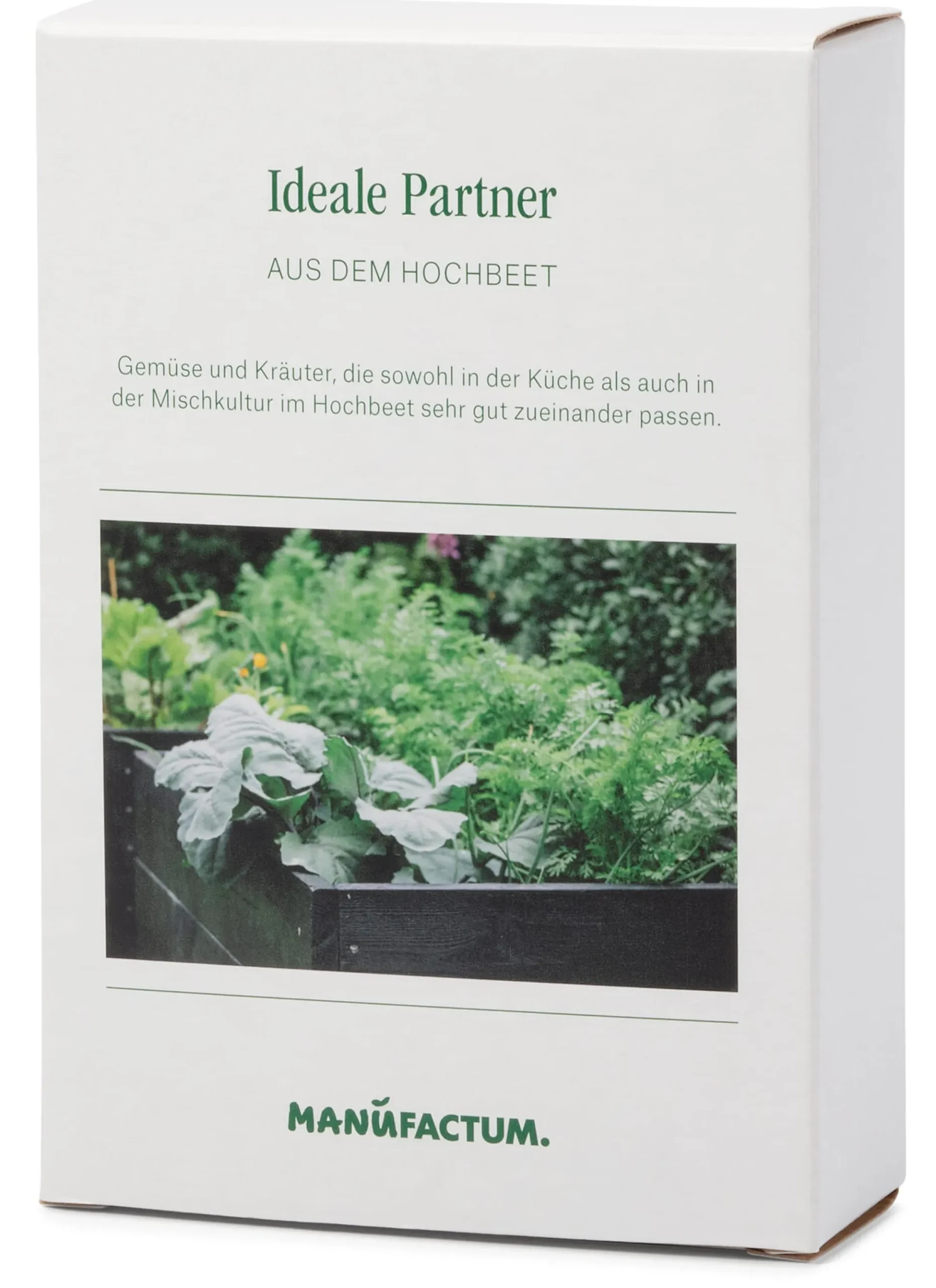 Saatgut Gemüse anbauen im Hochbeet – ideale Partner