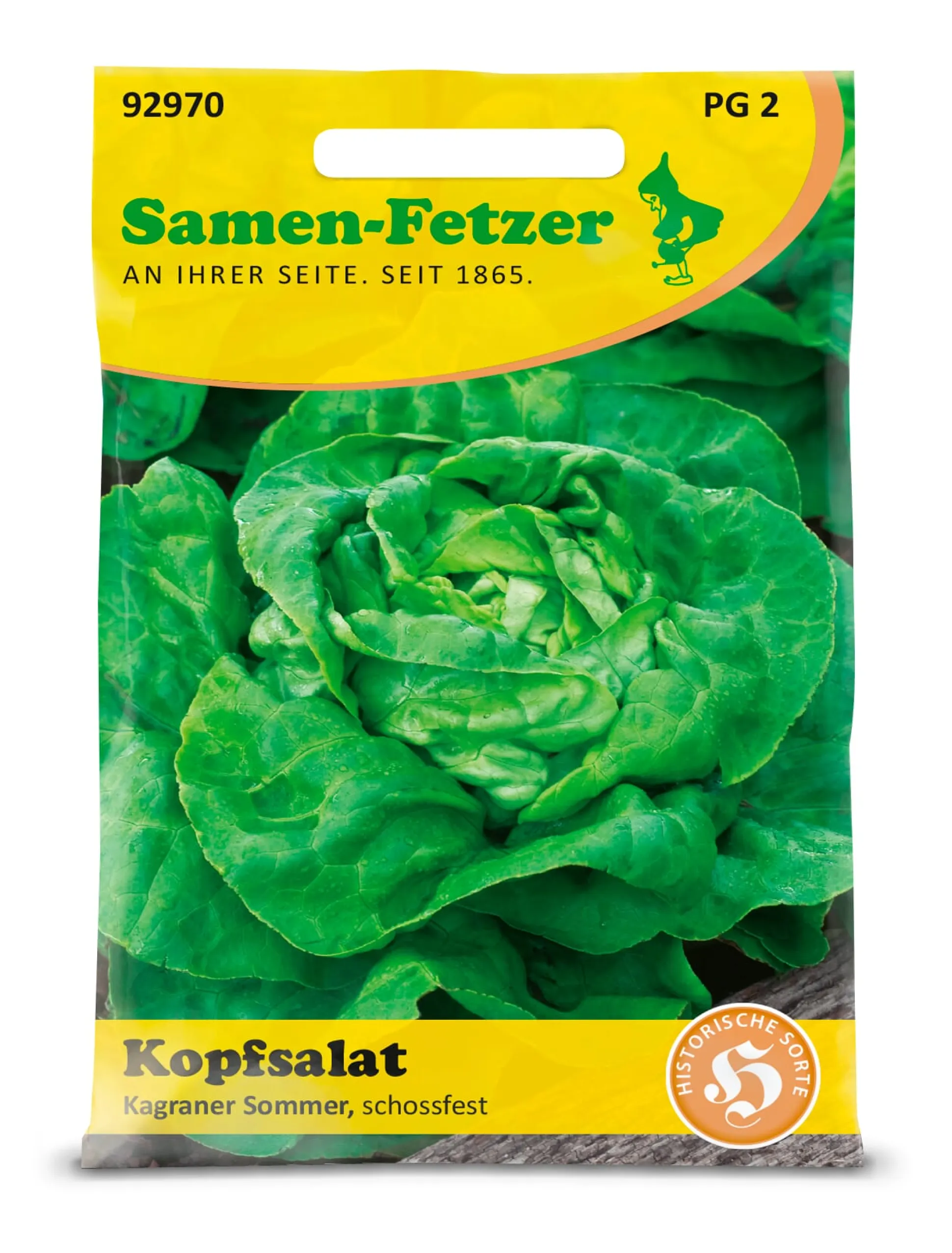 Saatgut Gemüse anbauen im Hochbeet – ideale Partner