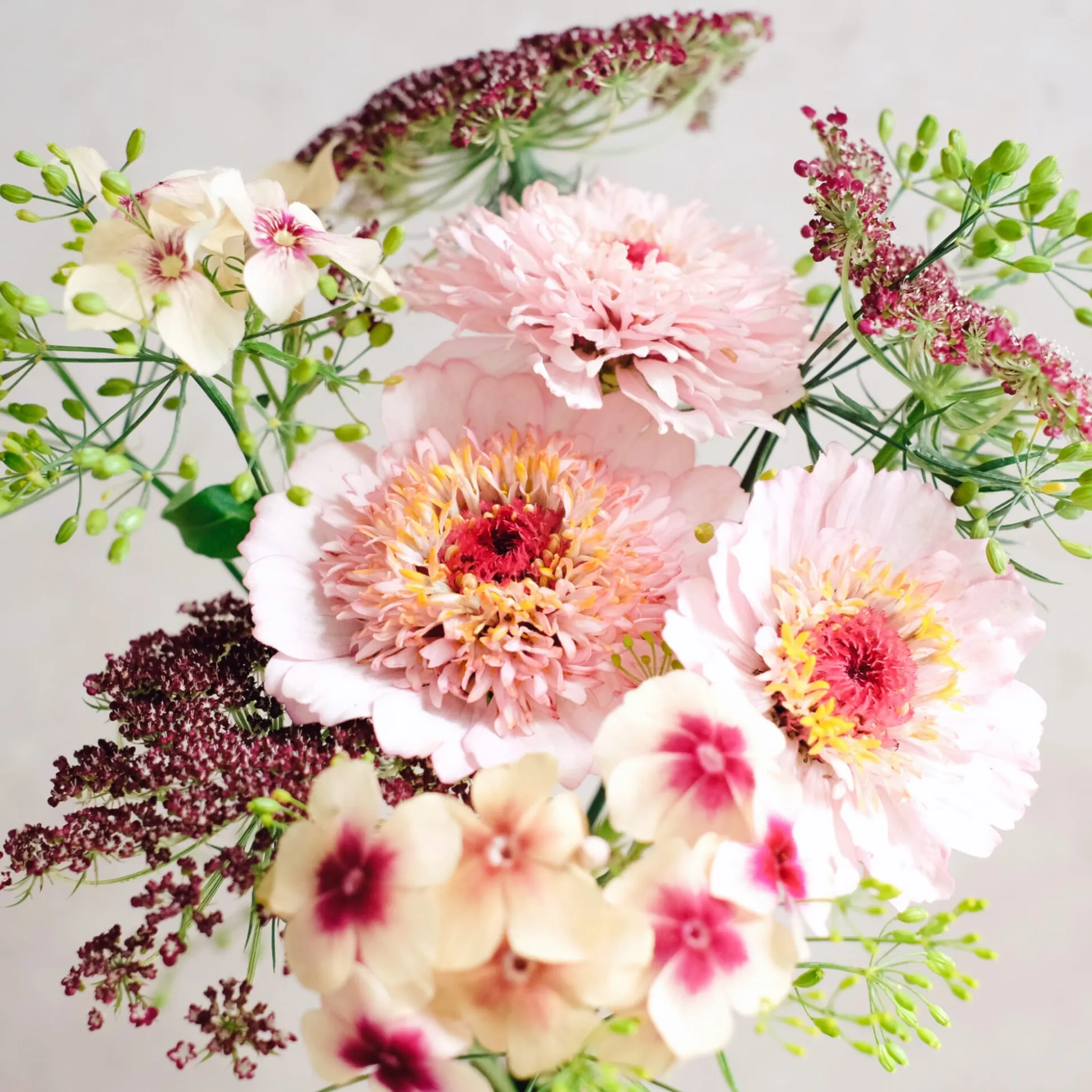 Saatgutkollektion für Blumensträuße