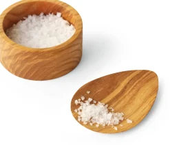 Salzdose Saleiro