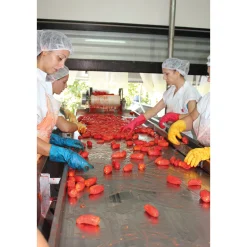 San-Marzano-Tomaten