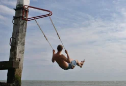 Schaukel Swing