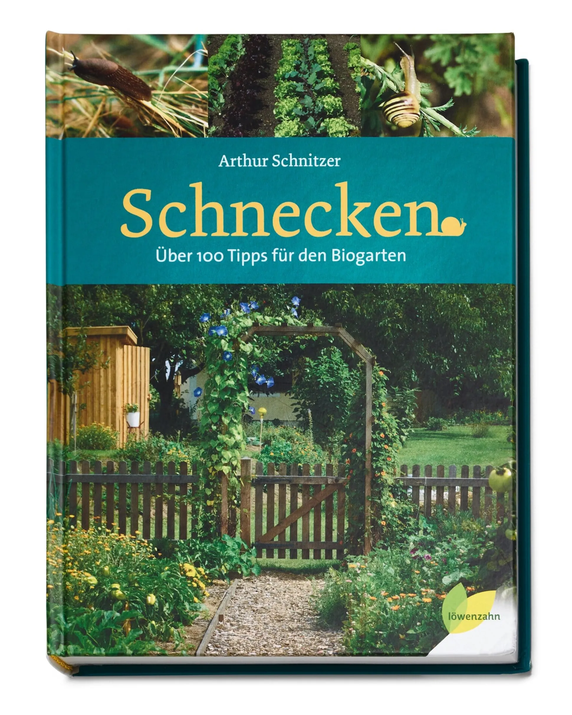 Schnecken