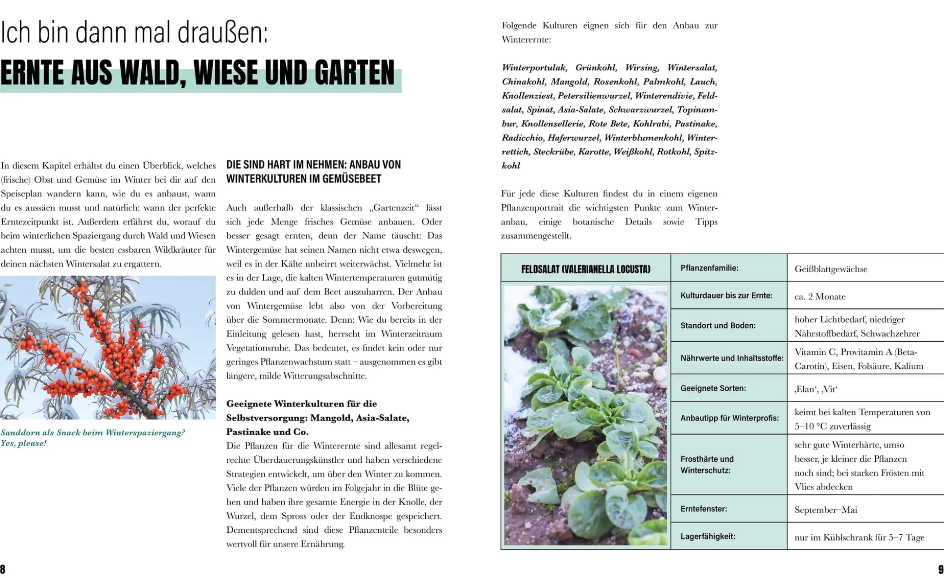 Selbstversorgung im Winter