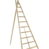 Thüringer Obstleiter