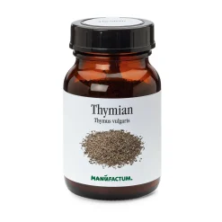 Thymian