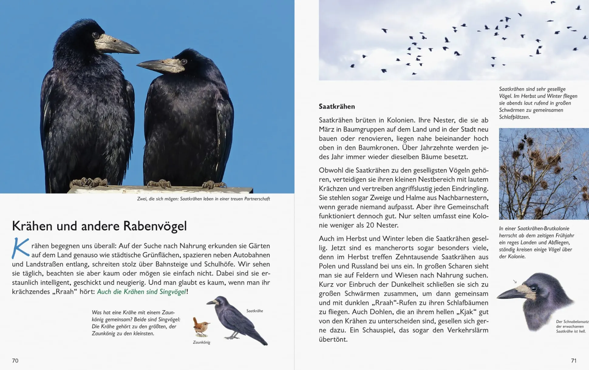 Unserer Natur auf der Spur