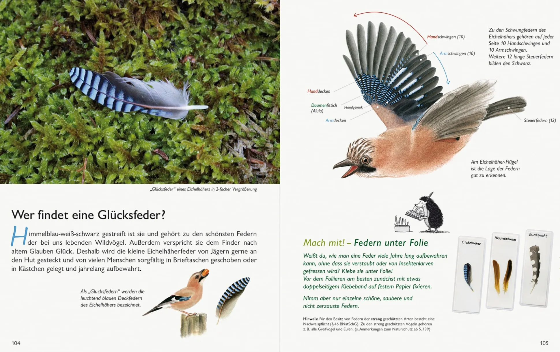 Unserer Natur auf der Spur