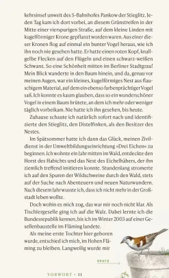 Vögel verstehen