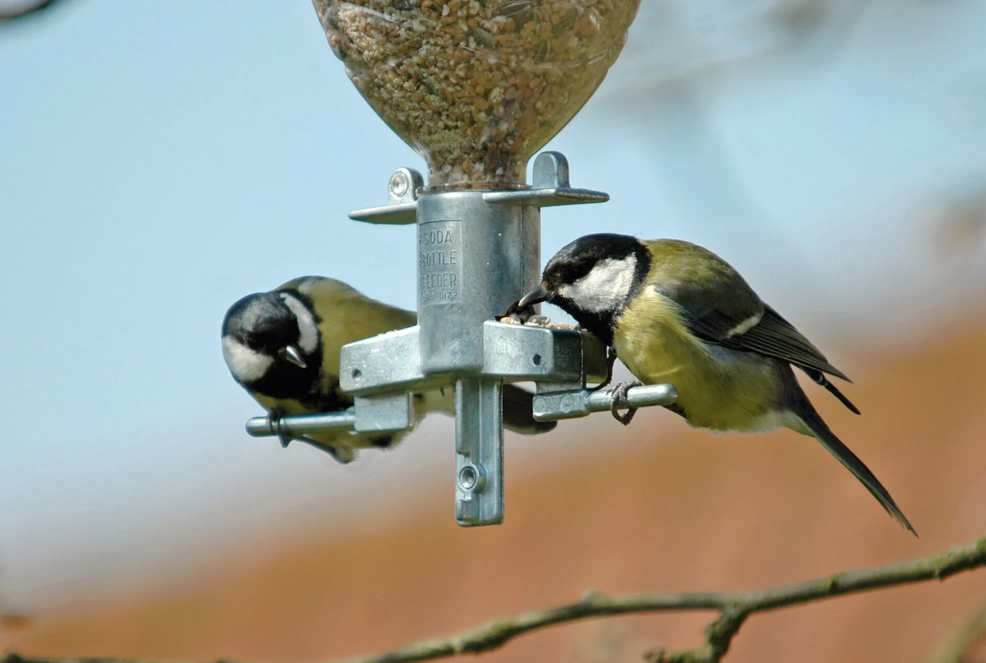 Vogelfutterspender Sodabird